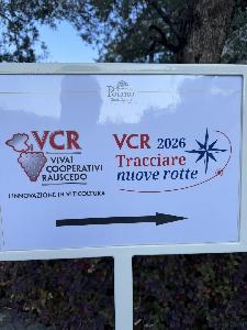 Гарда зовёт: что итальянская конференция питомника VCR значит для российского виноградарства и виноделия