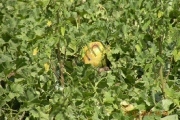 DSCN8162.jpg