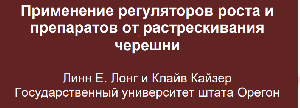 Растрескивание и ветвление черешни часть 3 Растрескивание и ветвление черешни часть 3