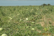 DSCN8183.jpg