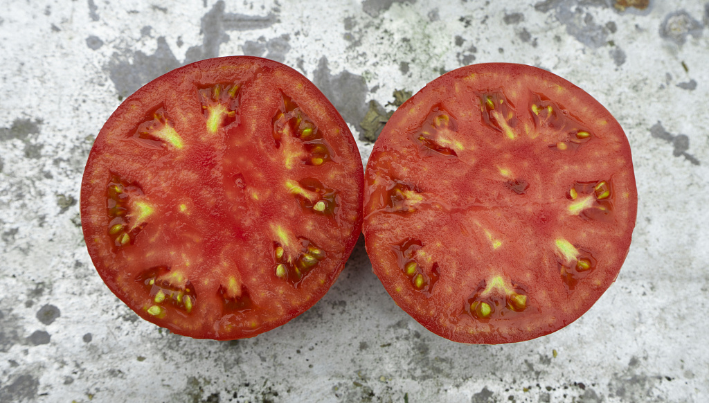 Семена гибрида розового томата Пинк Булл F1 (MV-1)