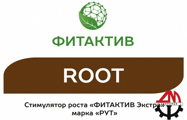 ФИТАКТИВ ROOT (корни)